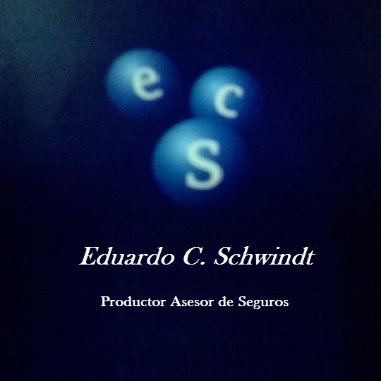 Eduardo C. Schwindt